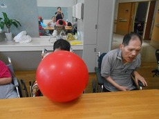 s2015.8.26 2.jpg